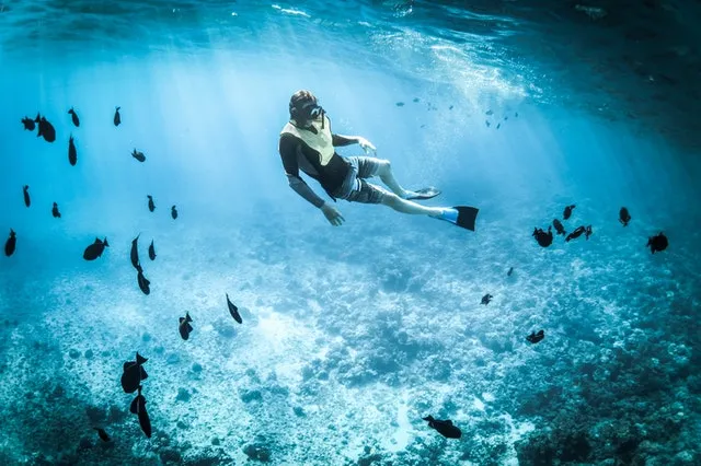 Nurkowanie a snorkeling – jakie są między nimi różnice?