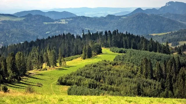 Gdzie wybrać się w Beskidy na jeden dzień?